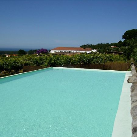 Quinta Do Paco D'Anha Guest House Виана до Кастело Екстериор снимка