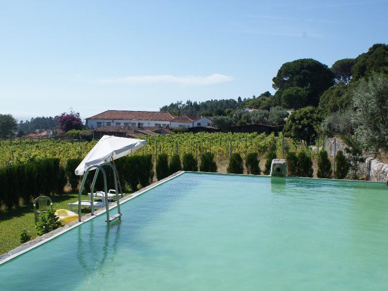 Quinta Do Paco D'Anha Guest House Виана до Кастело Екстериор снимка