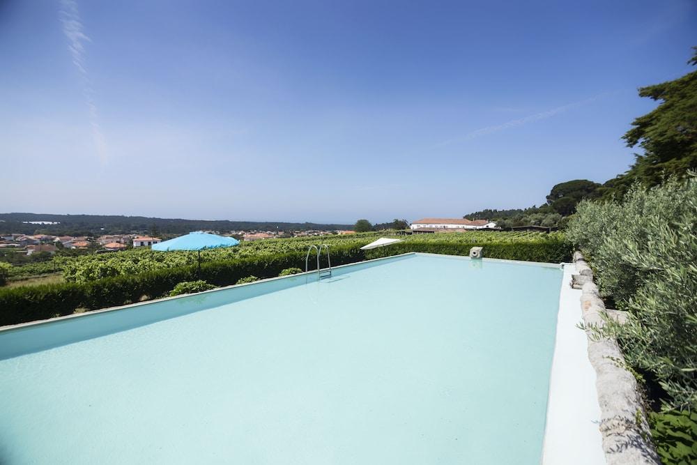 Quinta Do Paco D'Anha Guest House Виана до Кастело Екстериор снимка